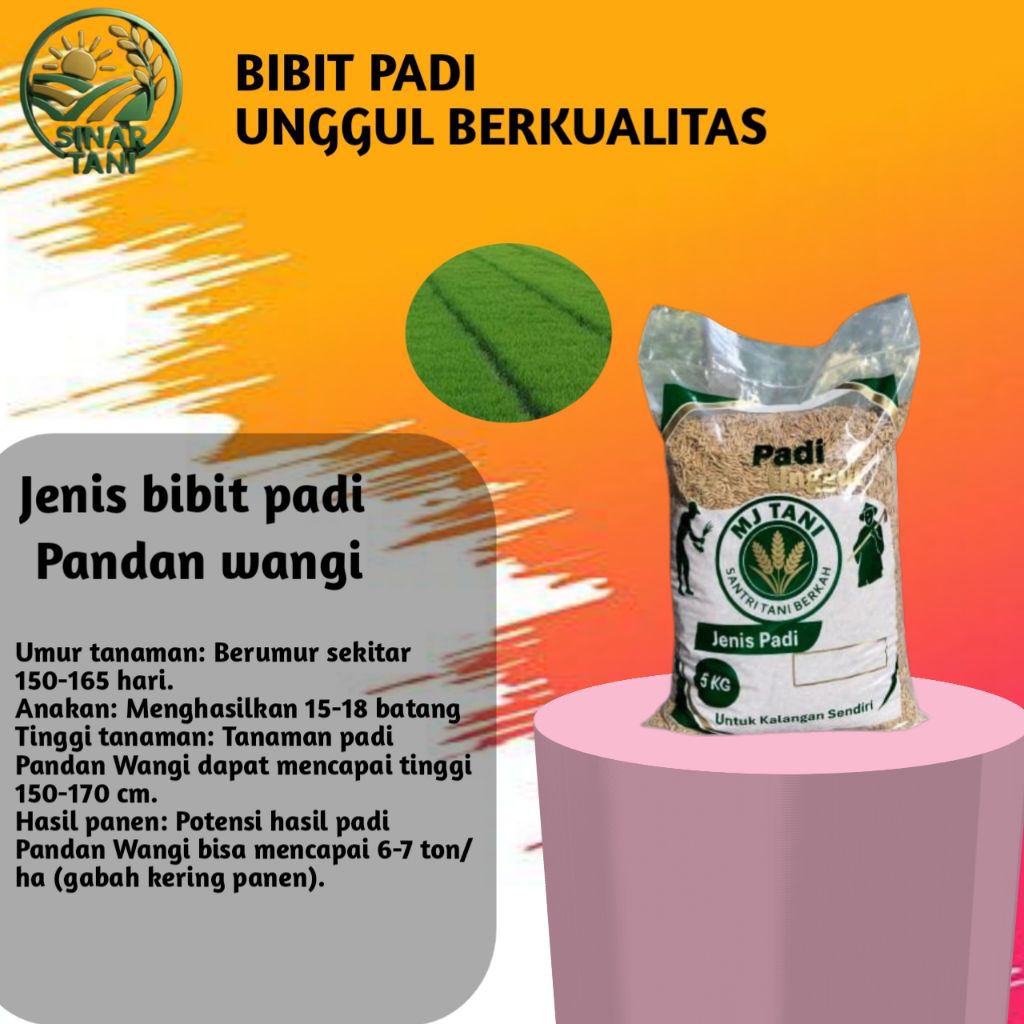 Benih Padi Pandan Wangi kualitas premium kemasan asli 5 kg– Aroma Pandan Super, Nasi Pulen, Gabah Bu