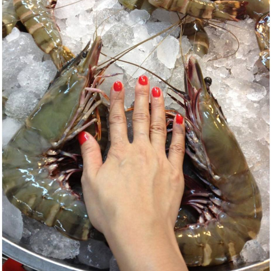 Udang 1Kg Udang Segar Udang Basah Segar Udang Jumbo Segar Udang Besar Udang Tiger Udang Pancet Udang