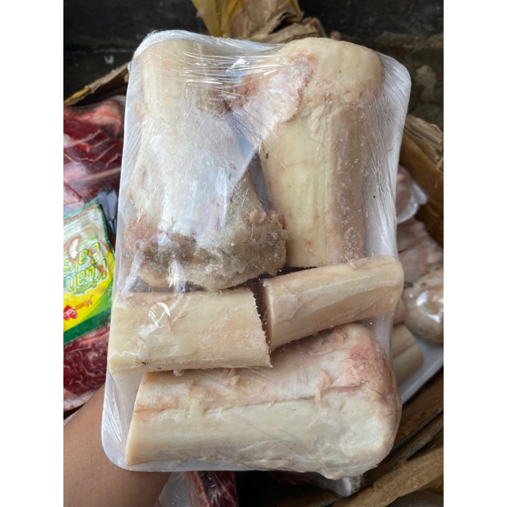tulang sumsum sapi