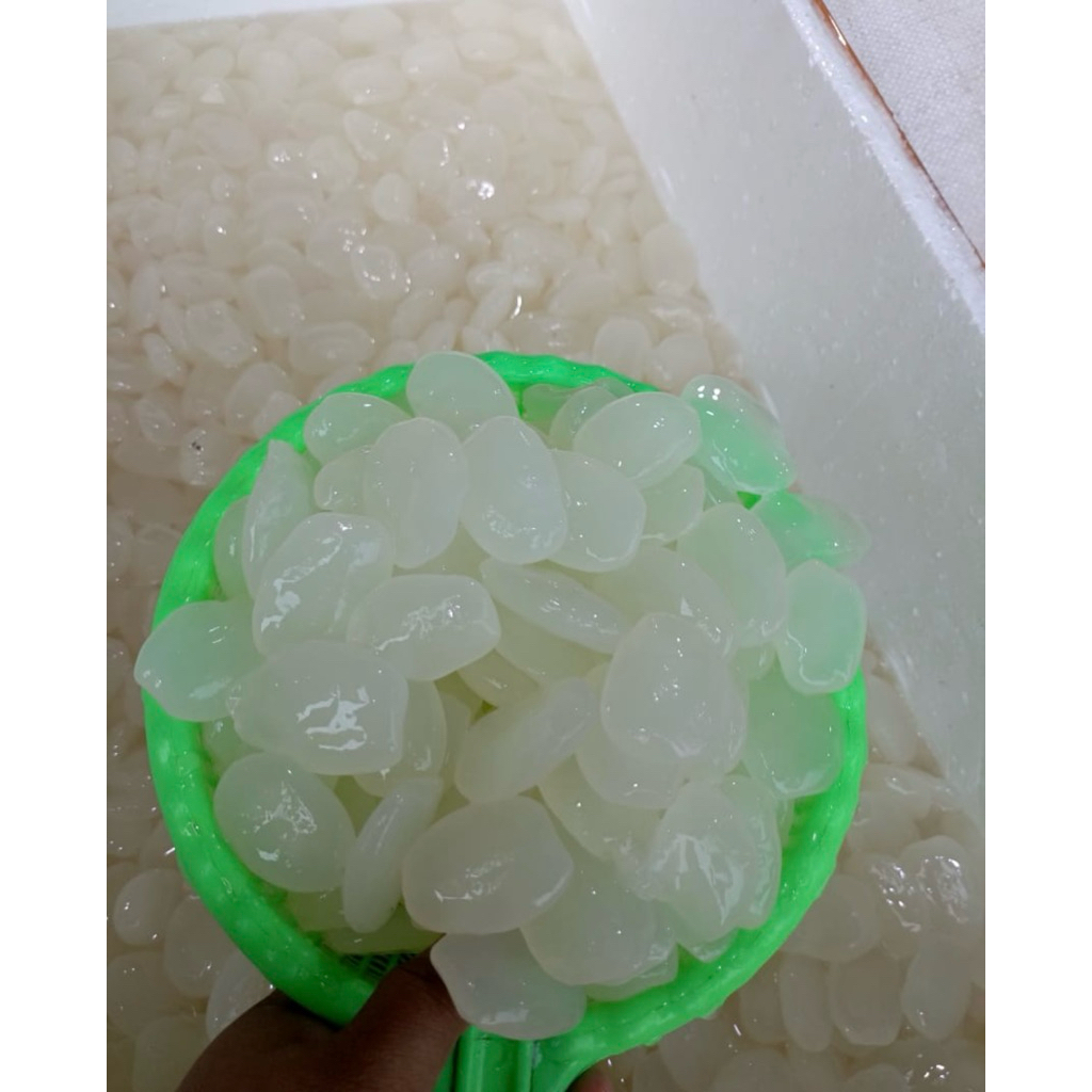 Kolang-Kaling Mentah