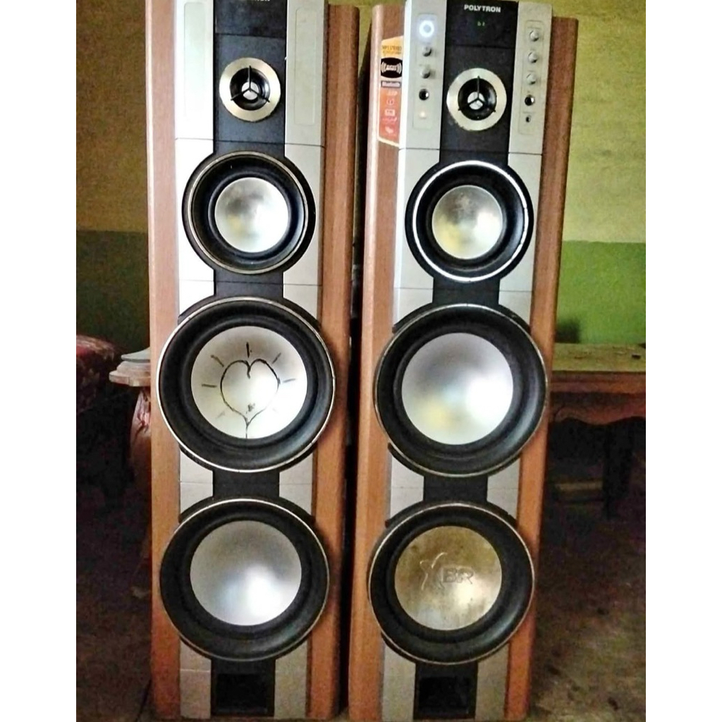 Polytron pas 79 wireless