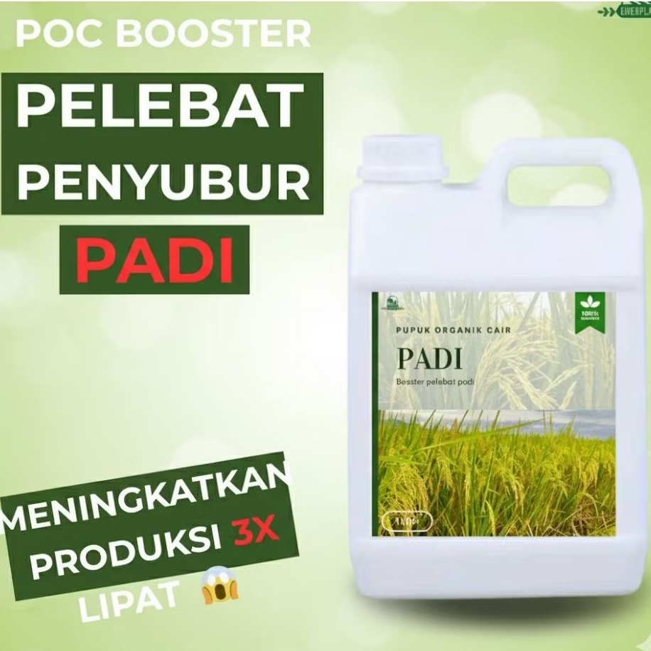 Pupuk organik Cair Padi | Pupuk Padi Sawah Terbaik |
Pupuk Booster Padi Sawah