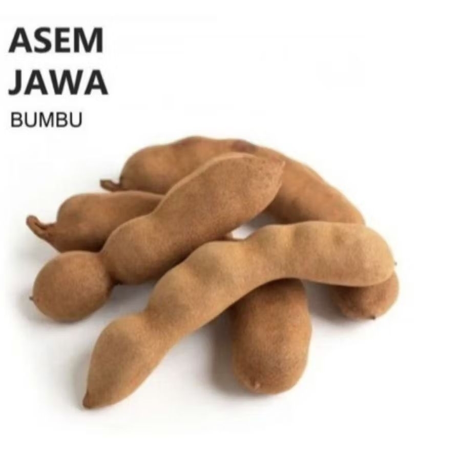 Asem Jawa mentah Asam Jawa segar