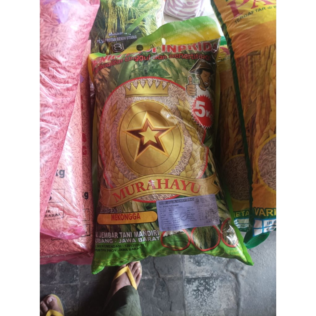 benih padi mekongga premium