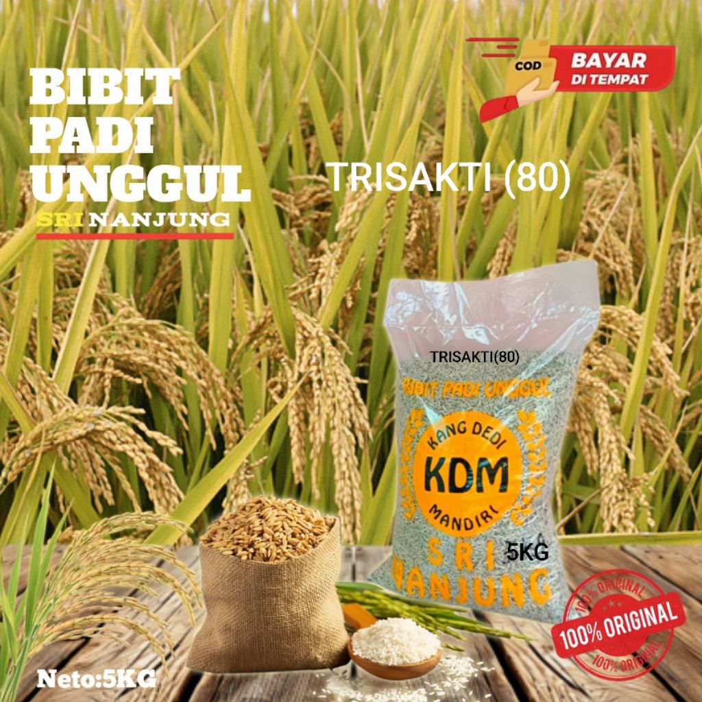 BENIH PADI CEPAT PANEN TRISAKTI New 80 HST 5kg