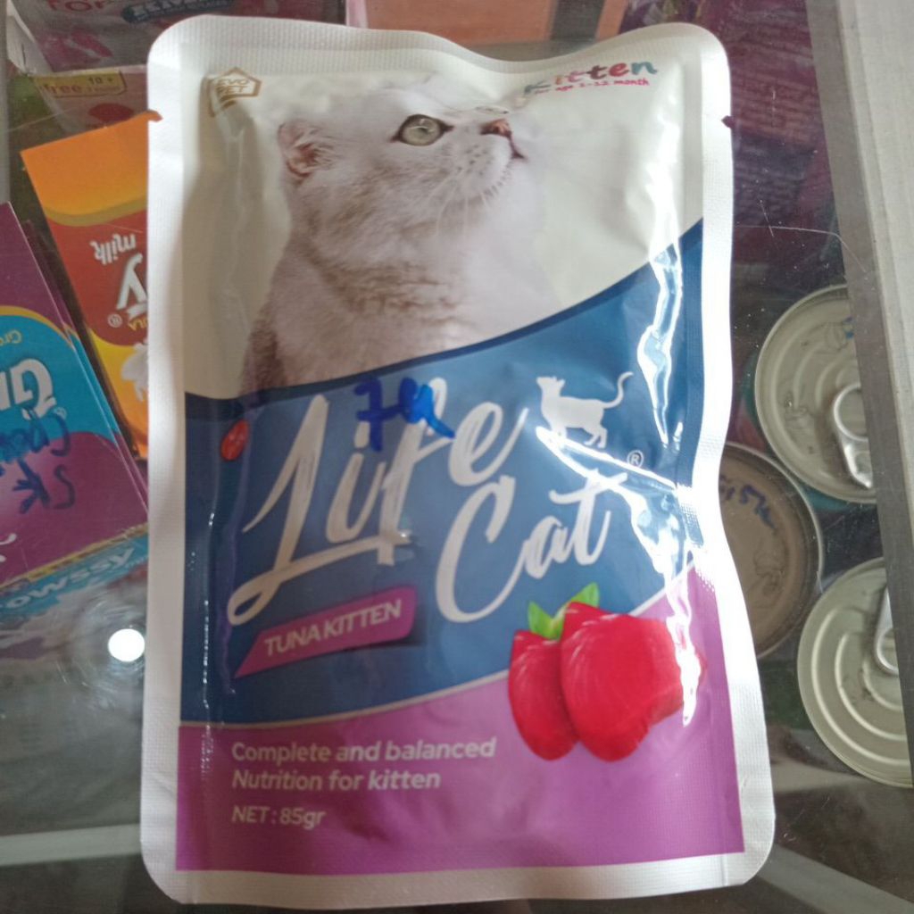 life cat tuna kitten