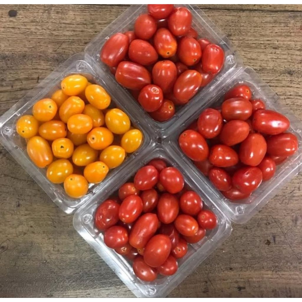 Tomat Cherry Merah fresh lembang