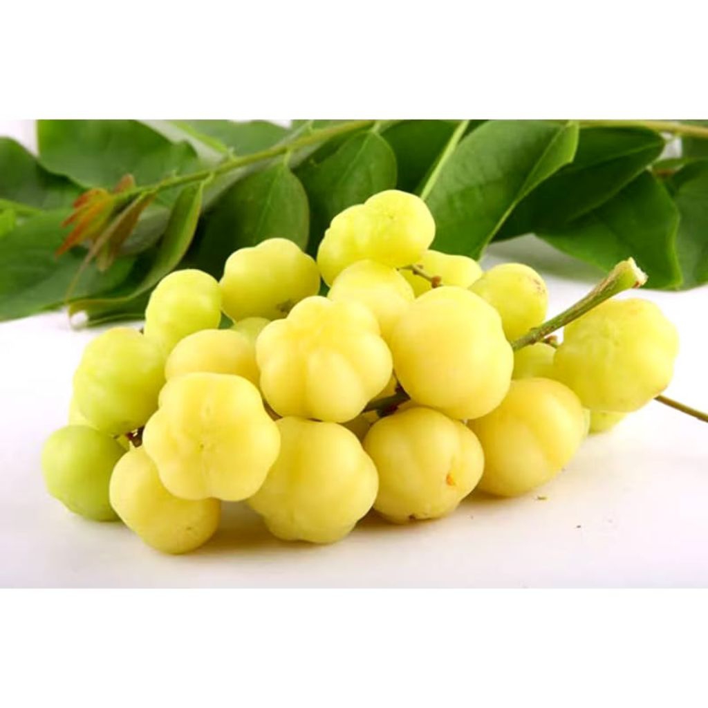 buah CERMAI segar 500 gram