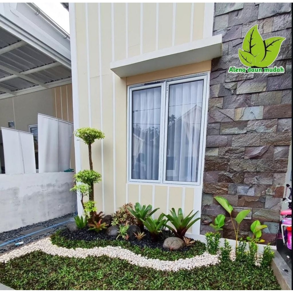 taman rumput kombinasi batu koral/taman rumput minimalis/taman batu koral minimalis