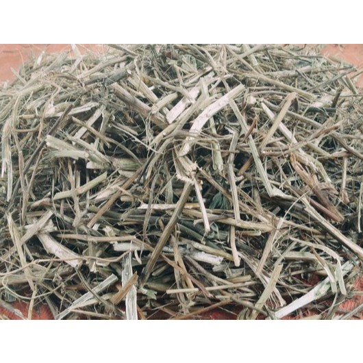 Ranting Insulin Kering 250 gram / Pohon Dahan Ranting Insulin Kering 100 gram Alami