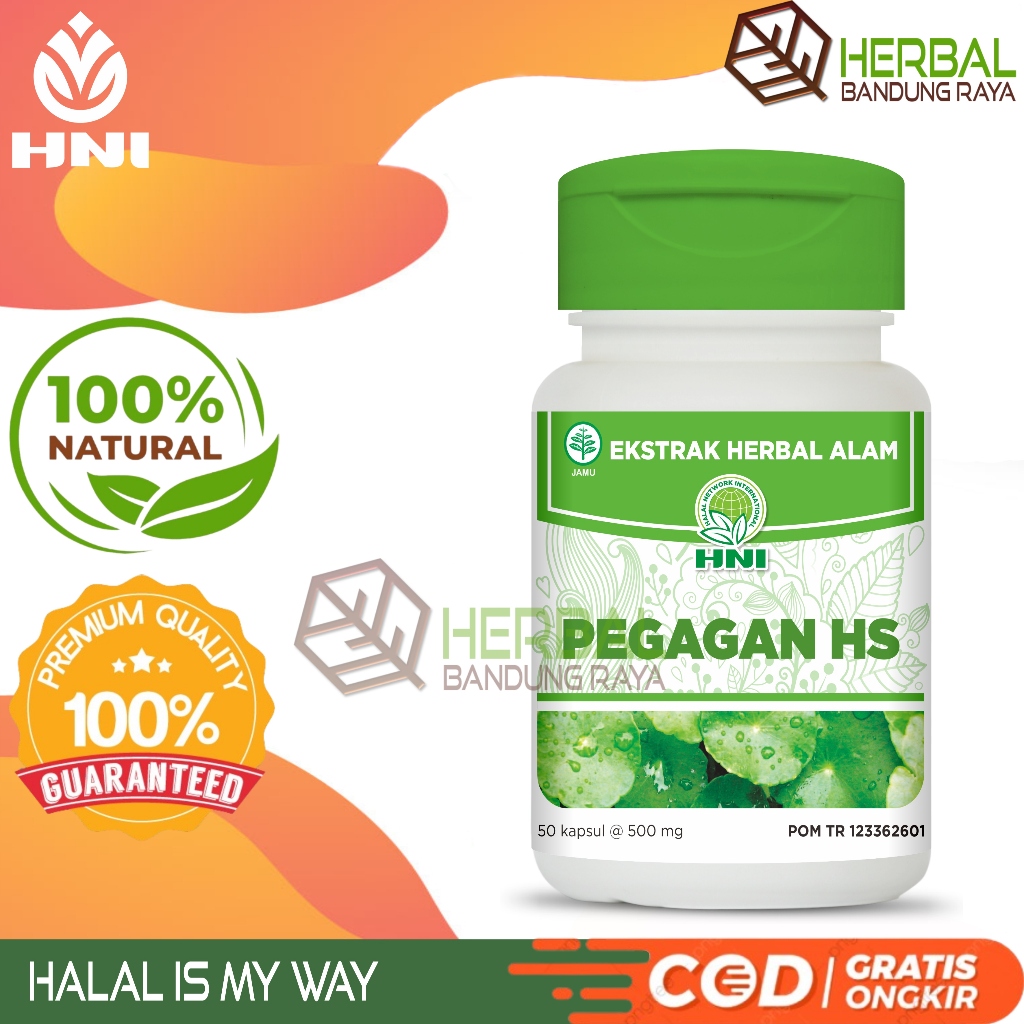 PEGAGAN HS HNI HPAI MEMBANTU SIRKULASI DARAH 50 KAPSUL