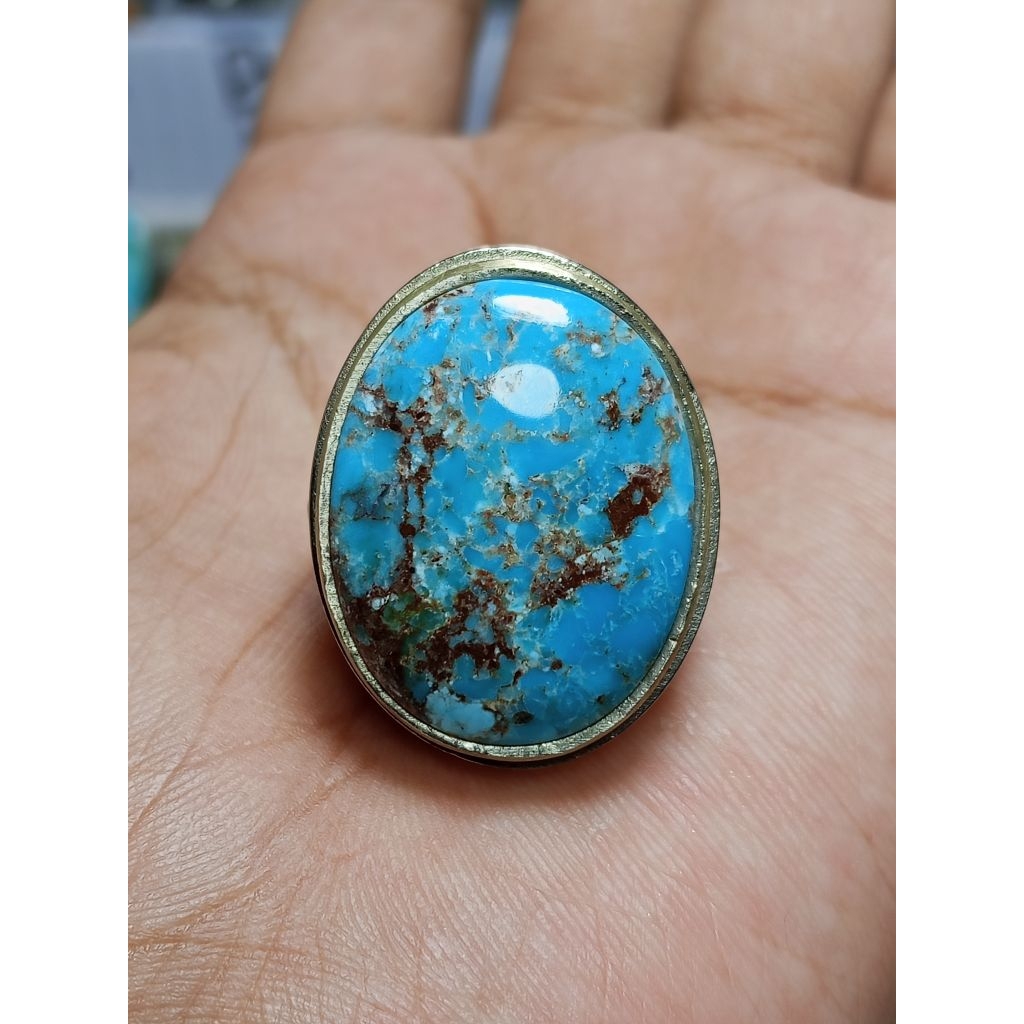 PIRUS PERSIA BLUE FANCY URAT MERAH