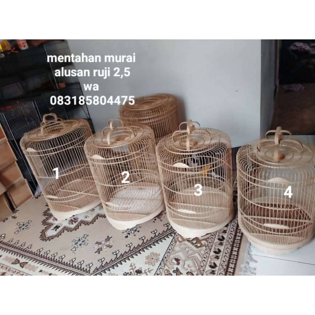 sangkar murai mentahan