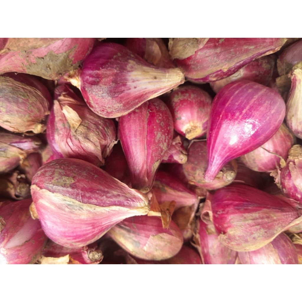 Bawang Merah Brebes Besar 1Kg