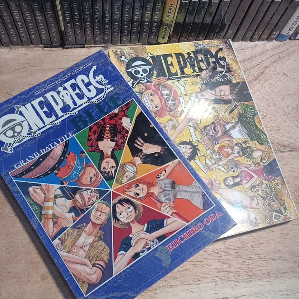 DATA BOOK ONE PIECE BLUE YELLOW