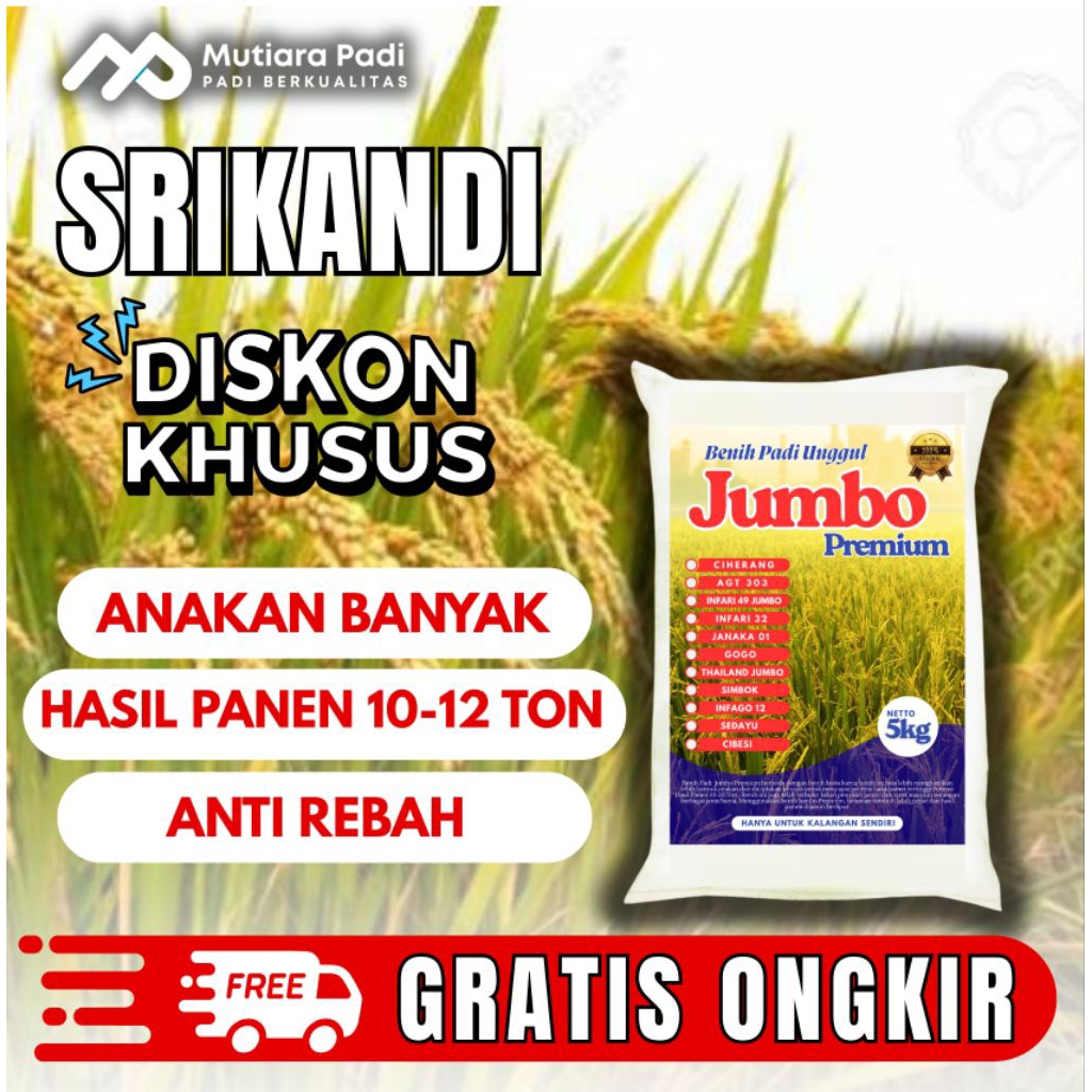 BENIH PADI BIBIT PADI UNGGUL BERKUALITAS  SRIKANDI KEMASAN 5 KG
