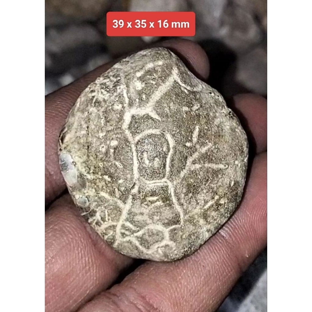 Batu akik Kijing Bungkem Jalasutra asli alam