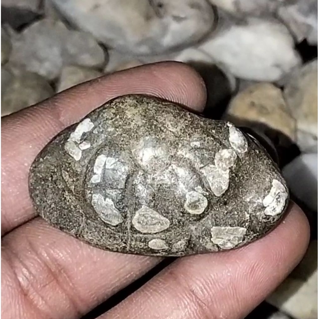 Batu akik Kijing Bungkem Jalasutra asli alam