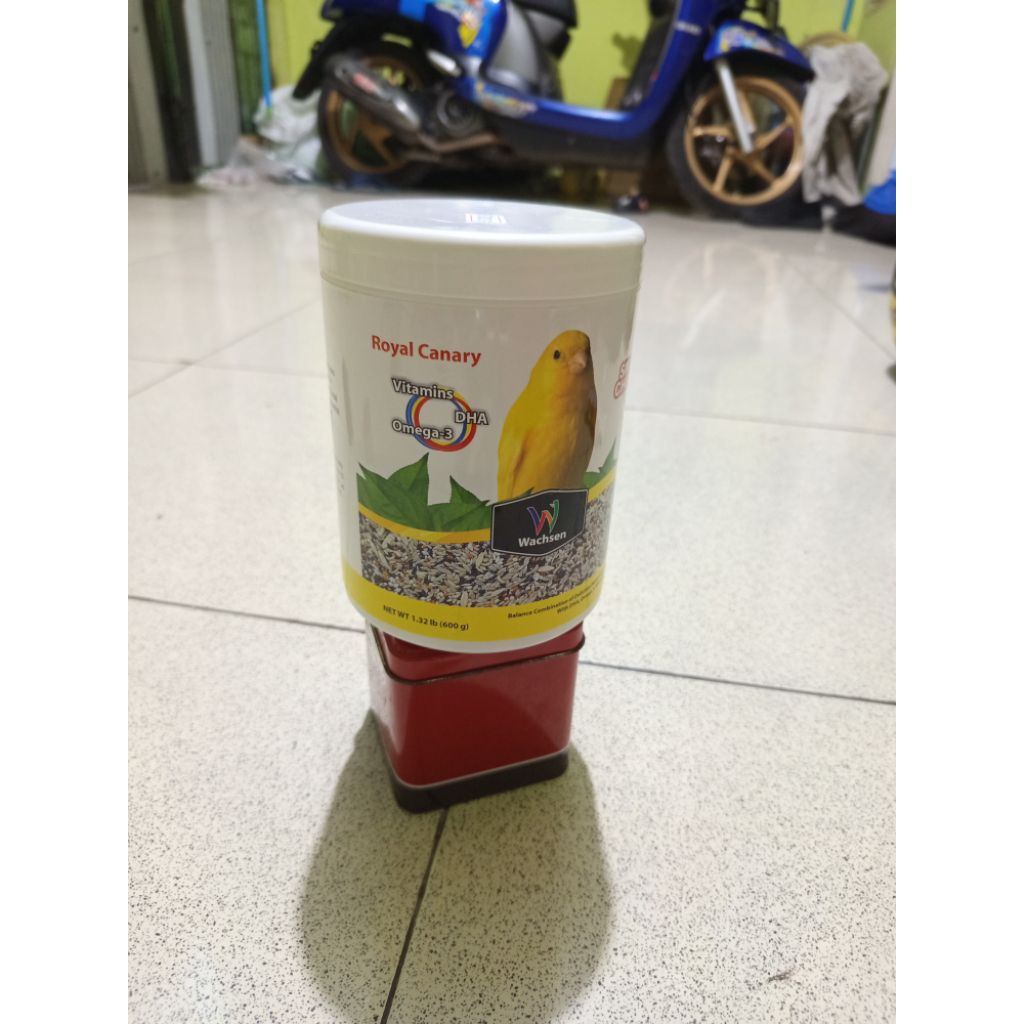 kenari Yorkshire import