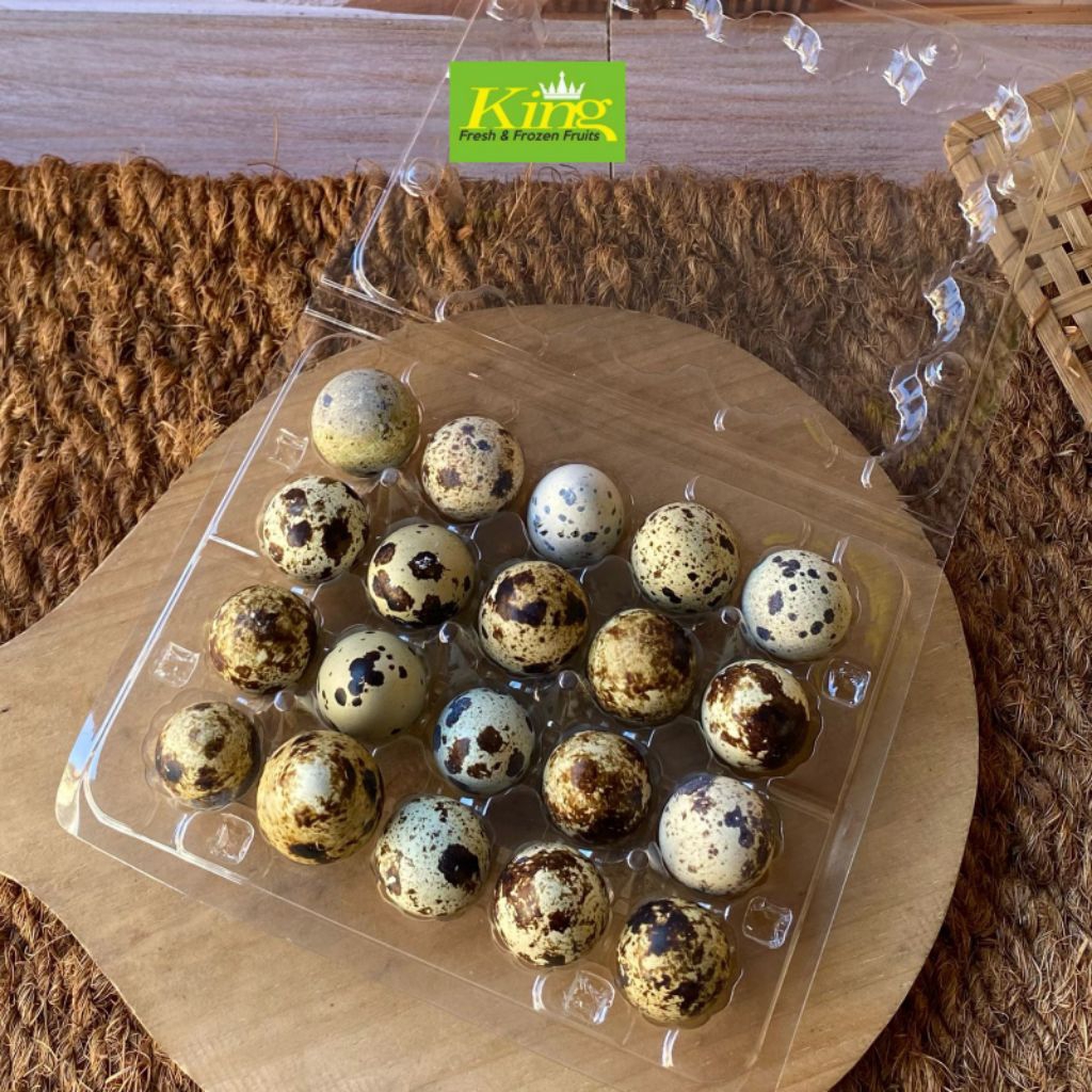 Telur puyuh, telur puyuh segar, telur puyuh isi 20