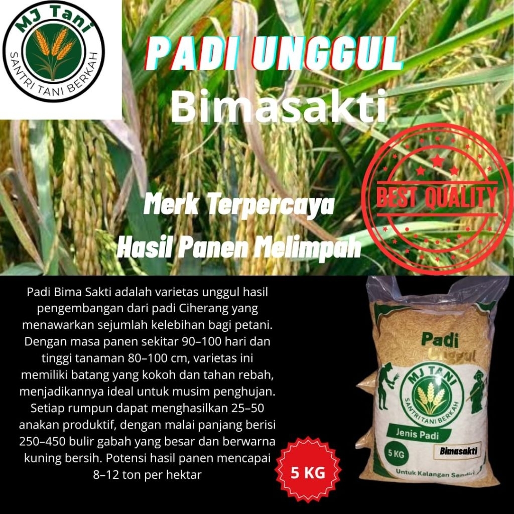 bibit padi bima sakti 5kg