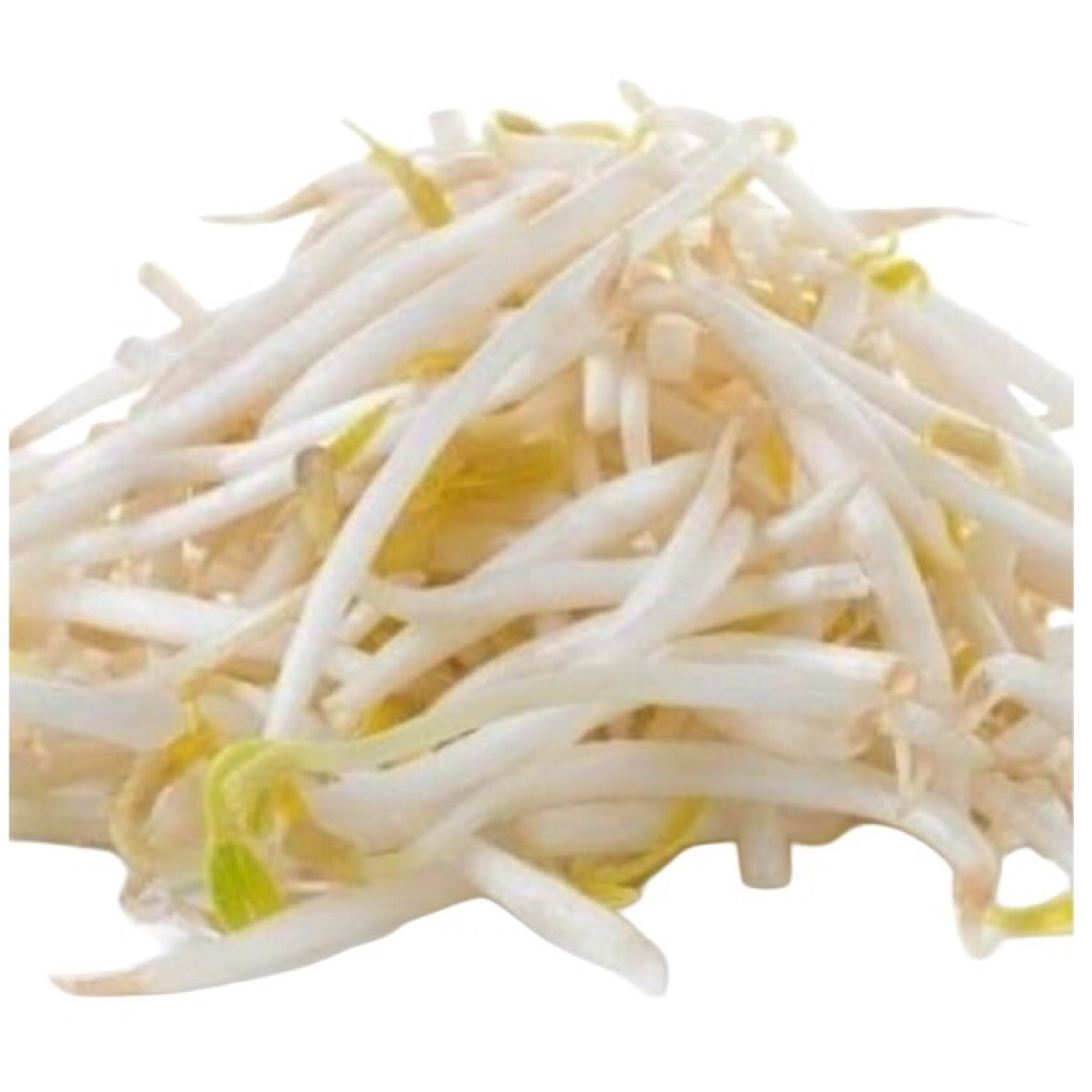 Tauge Bangkok | Tauge Jepang | Toge Panjang 250gr/500gr