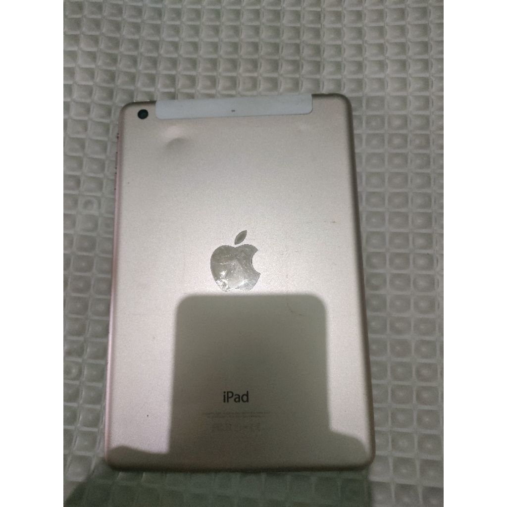 ipad mini 3 bypass