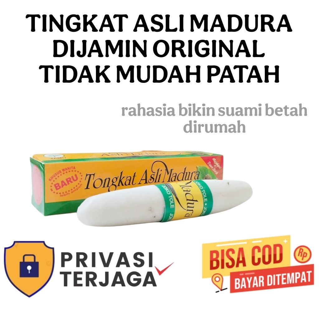 Tongkat Asli Madura joko Tole Bangkalan Madura- 1 Tube