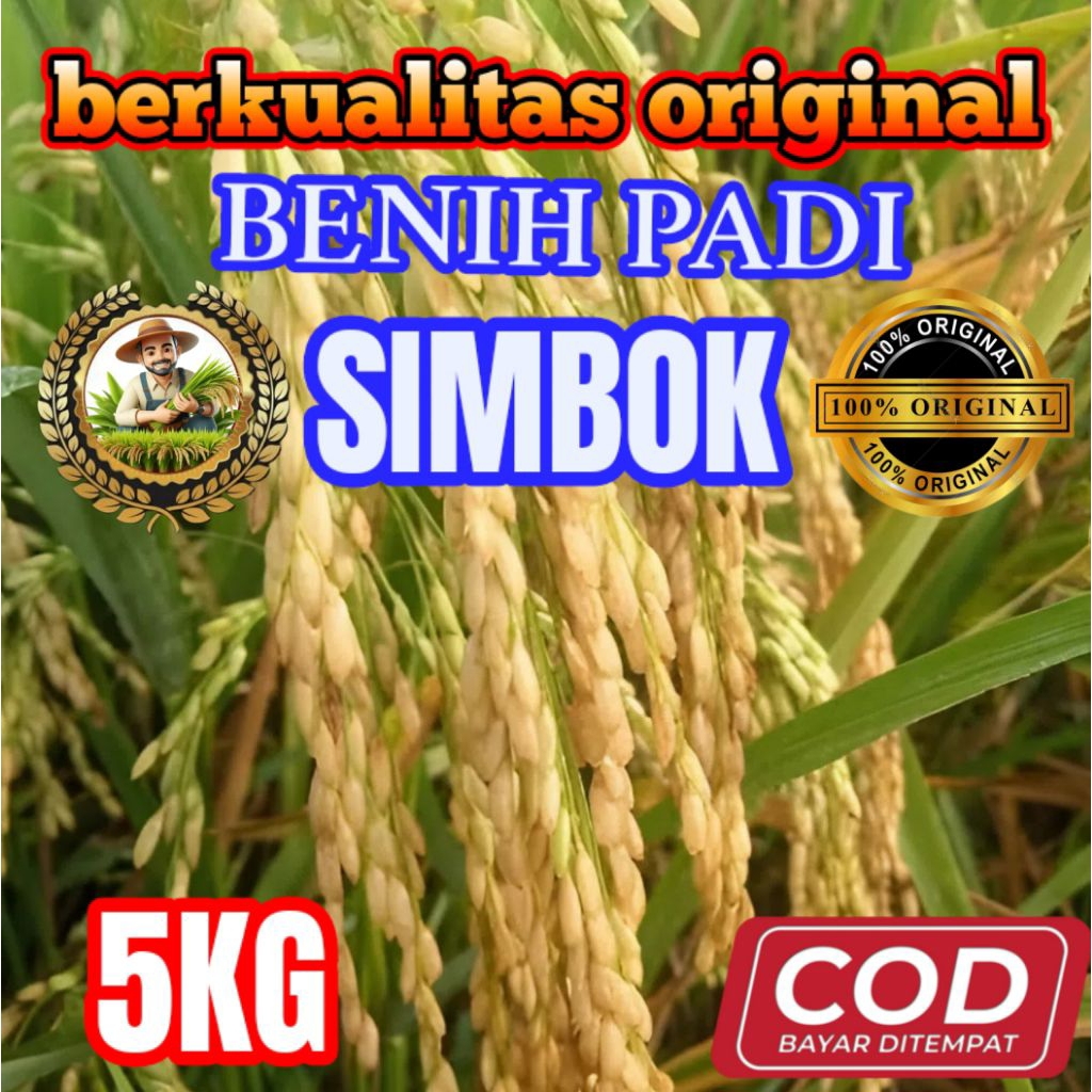 BENIH BIBIT PADI SIMBOK ORIGINAL KEMASAN (5KG) ORIGINAL