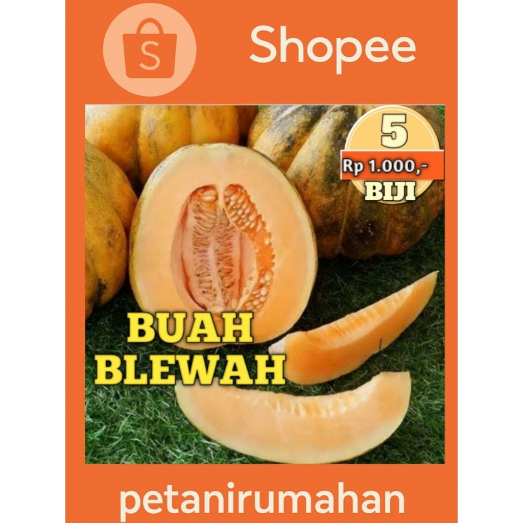 BU4 BIBIT BIJI BENIH BLEWAH UNGGUL HIBRIDA SERIBUAN ISI 5 BIJI