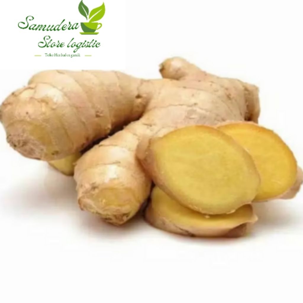 TEMULAWAK, TEMU KUNCI, TEMU PUTIH, DAN TEMU MANGGA, MACAM MACAM JAMU HERBAL TRADISIONAL PREMIUM