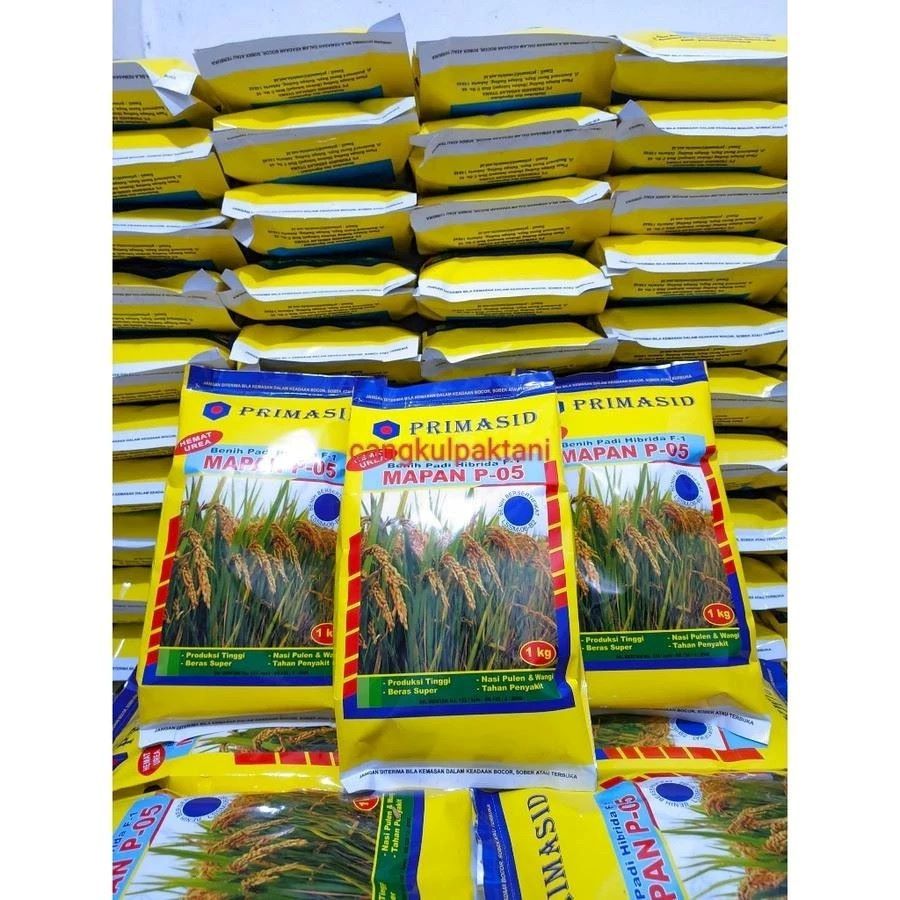 PROMO HEMAT  Benih padi hibrida mapan p-05 - 1 kg original bibit padi mapan