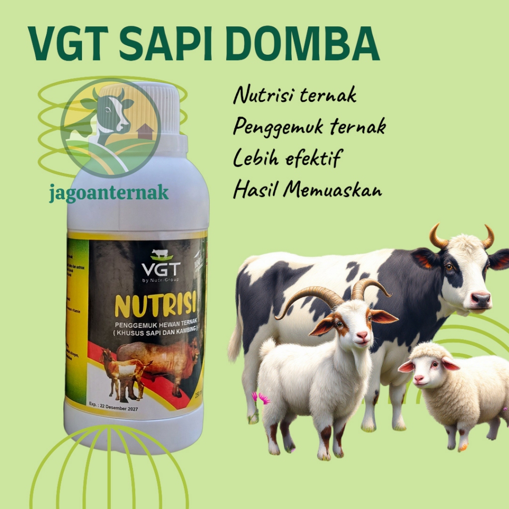 VGT Nutrisi Kambing Domba Sapi 250ml - Jagoan Ternak