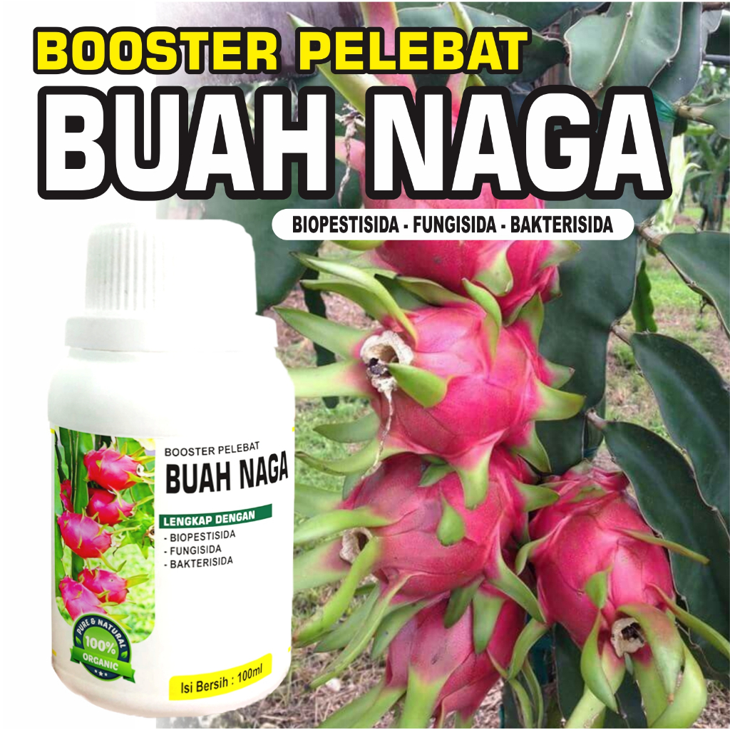 PUPUK BOOSTER BUAH NAGA 100ml - pupuk penyubur dan pemacu pembuahan murni fermentasi