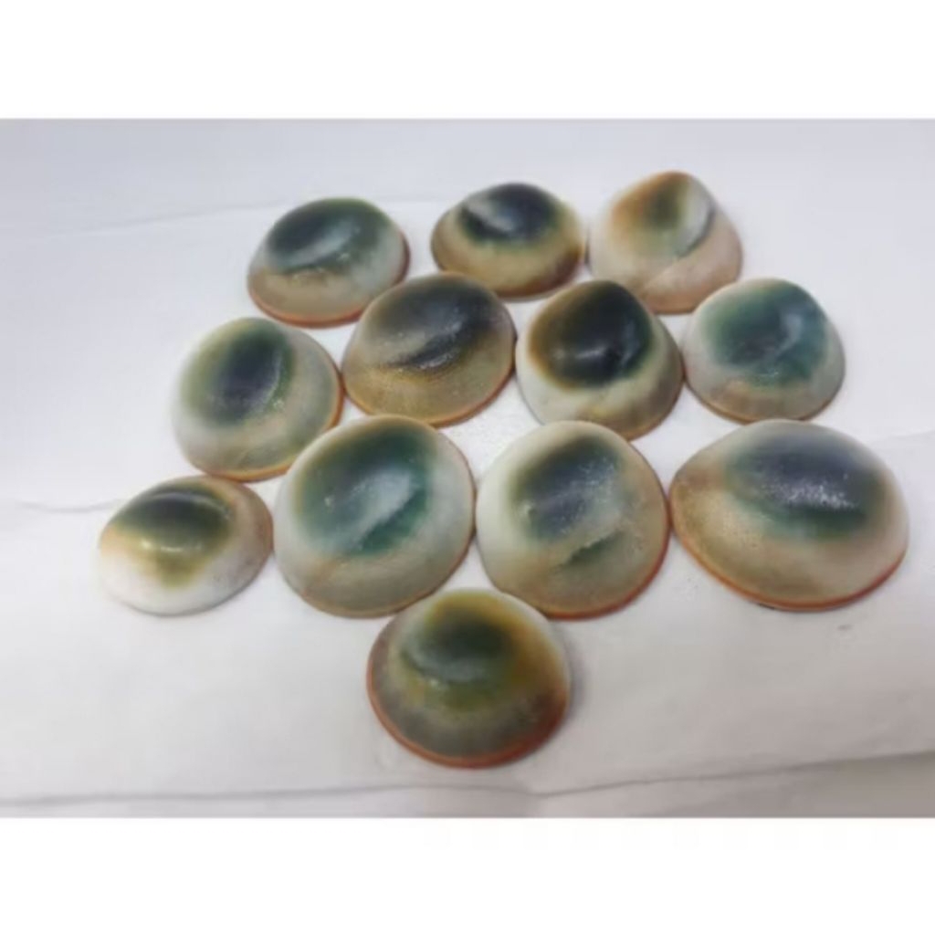 Lostun Batu Keong Buntet /Kol Buntet Asli Natural Alam.