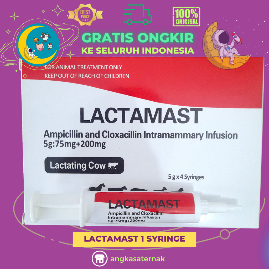 Lactamast 1 Syringe - Antibiotik Intramammary untuk Pengobatan Mastitis pada Sapi Perah