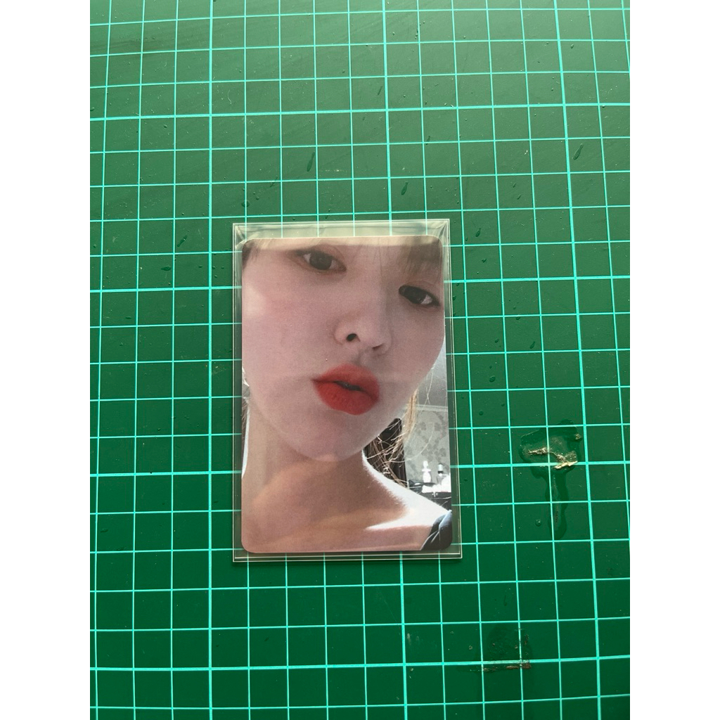 Wendy Dear U Photocard Month November