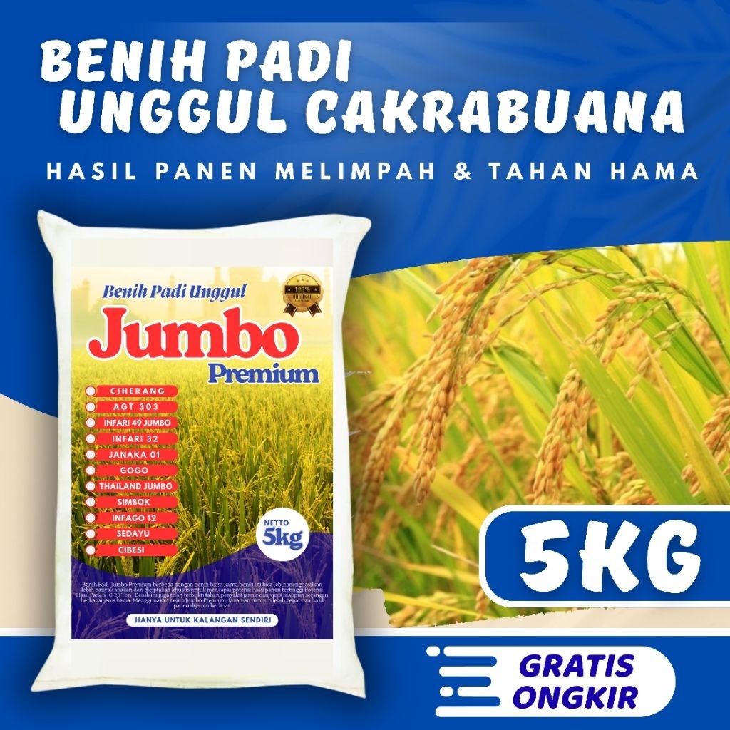 Bibit Padi unggul Cakrabuana 5kg