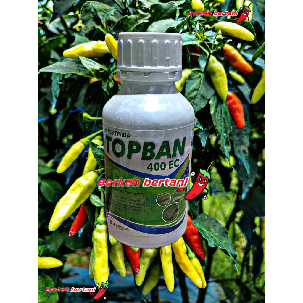 TOPBAN 400EC 100ML Insektisida pembasmi ulat, rayap