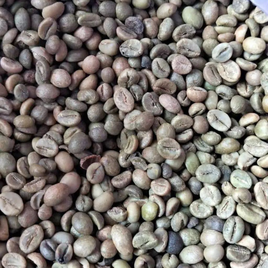 KOPI BIJI/ BIJI KOPI MENTAH 500 GRAM