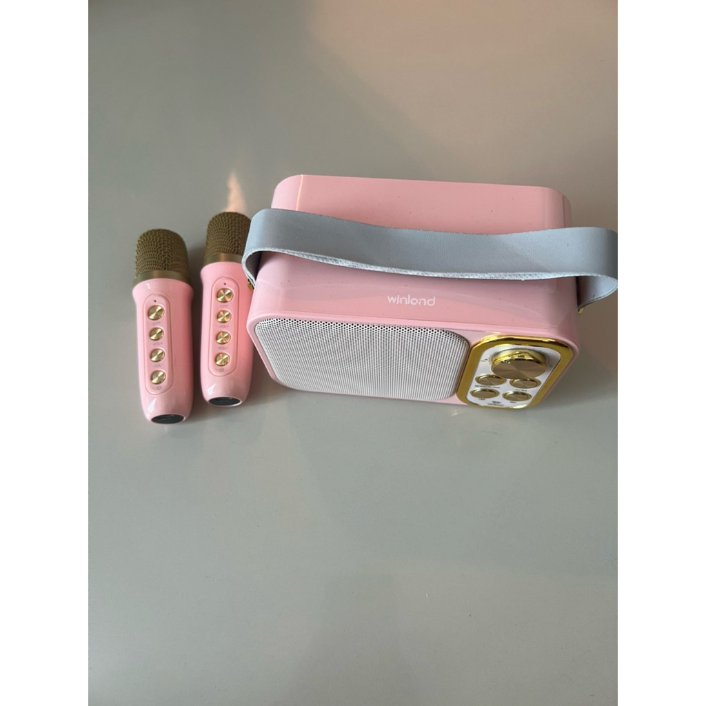 Winland Speaker Preloved