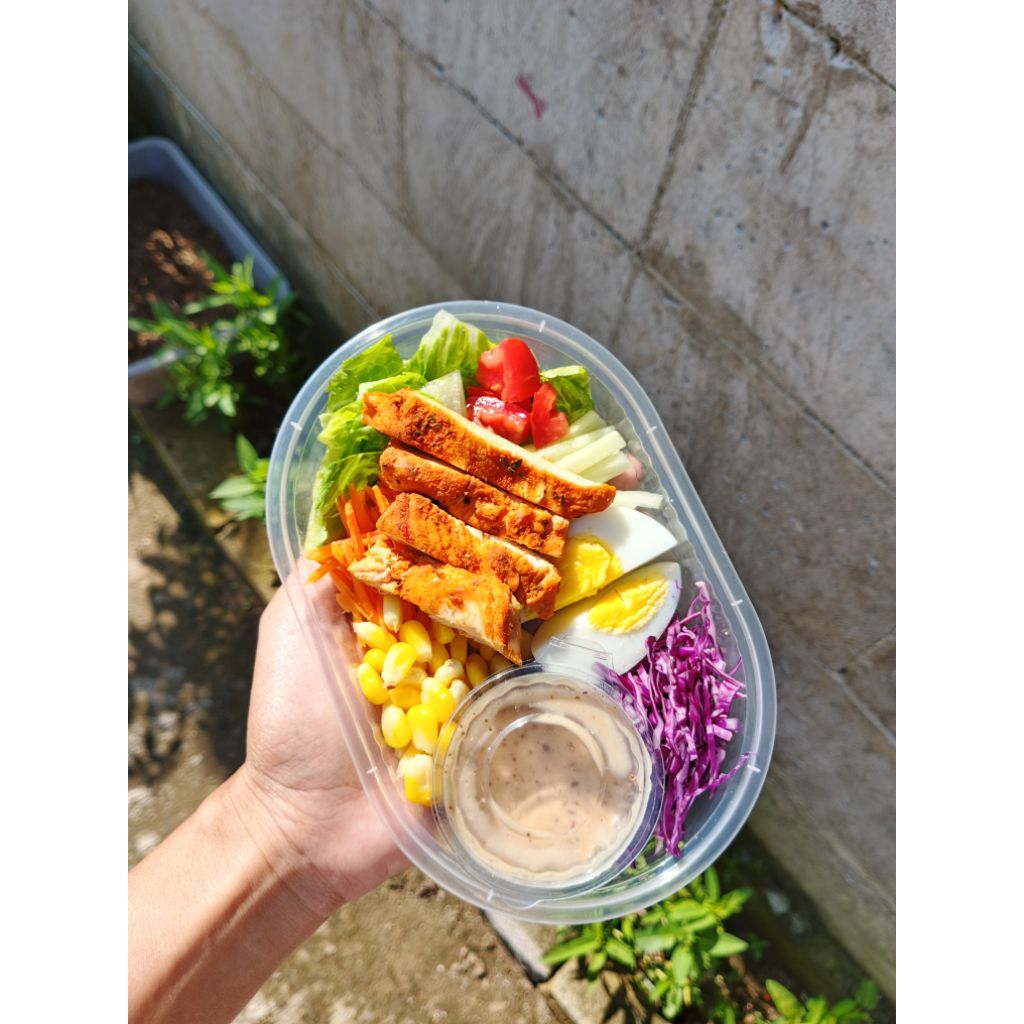 Salad Sayur Ayam grill telor rebus