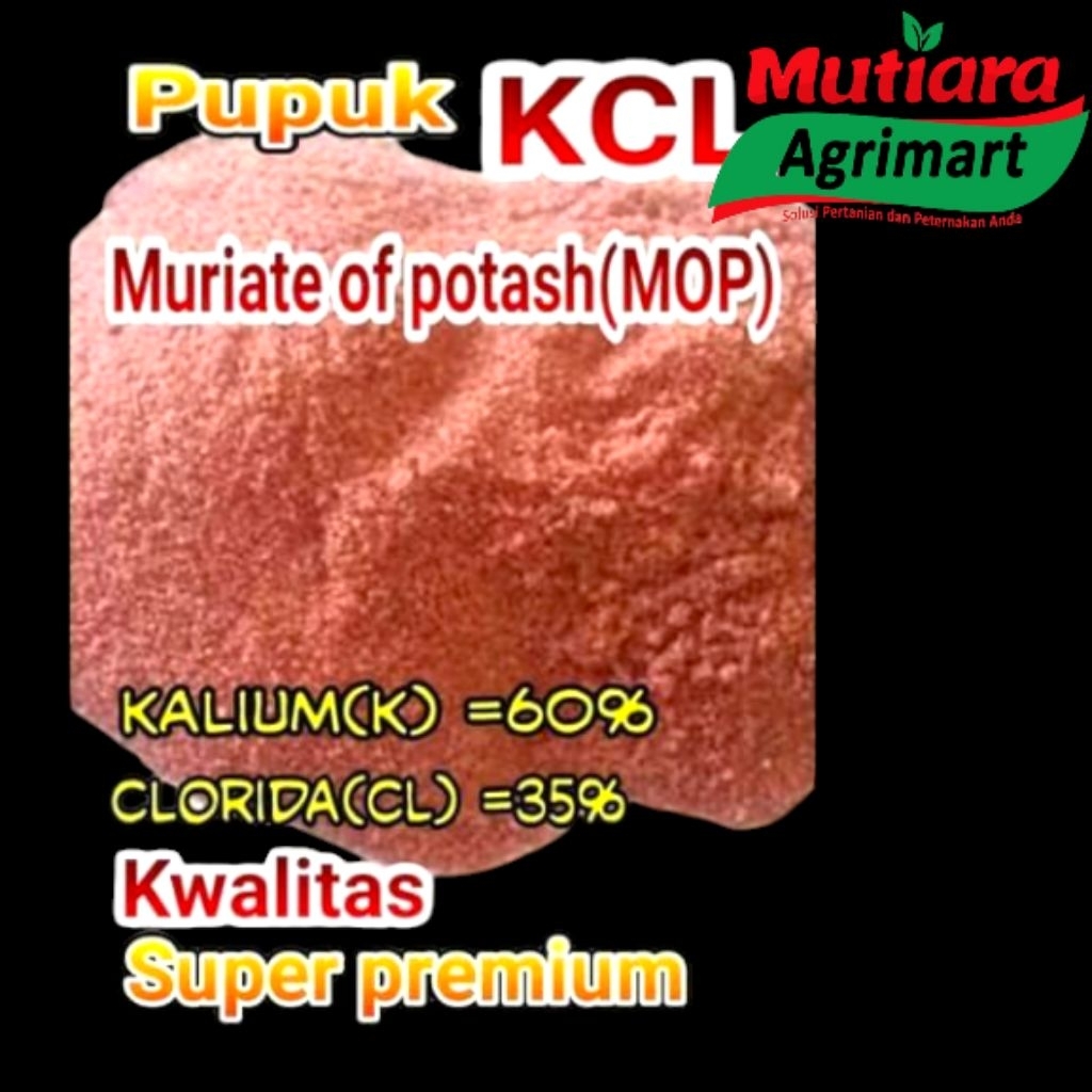 paket promo kcl 5kg // pupuk tanaman kcl