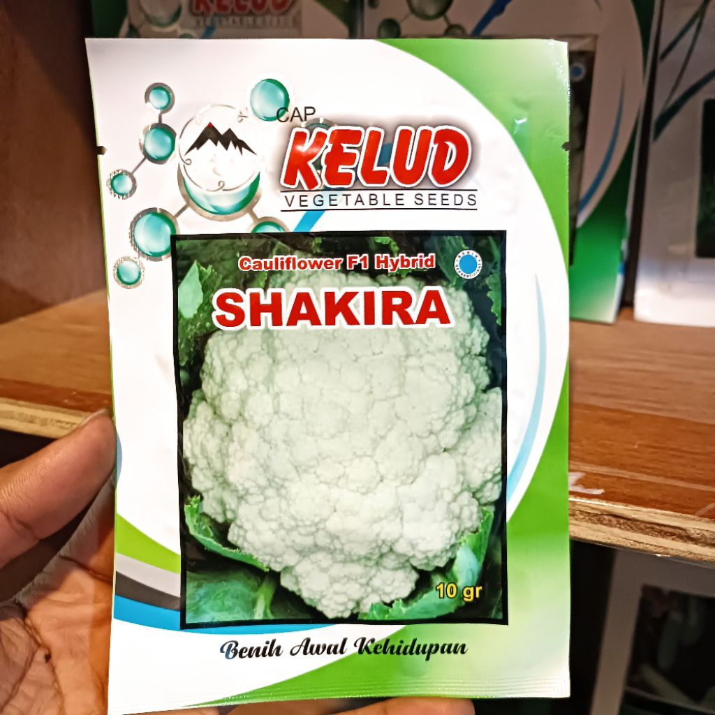 BENIH BUNGA KOL SHAKIRA 10 GR ORIGINAL PERUSAHAAN