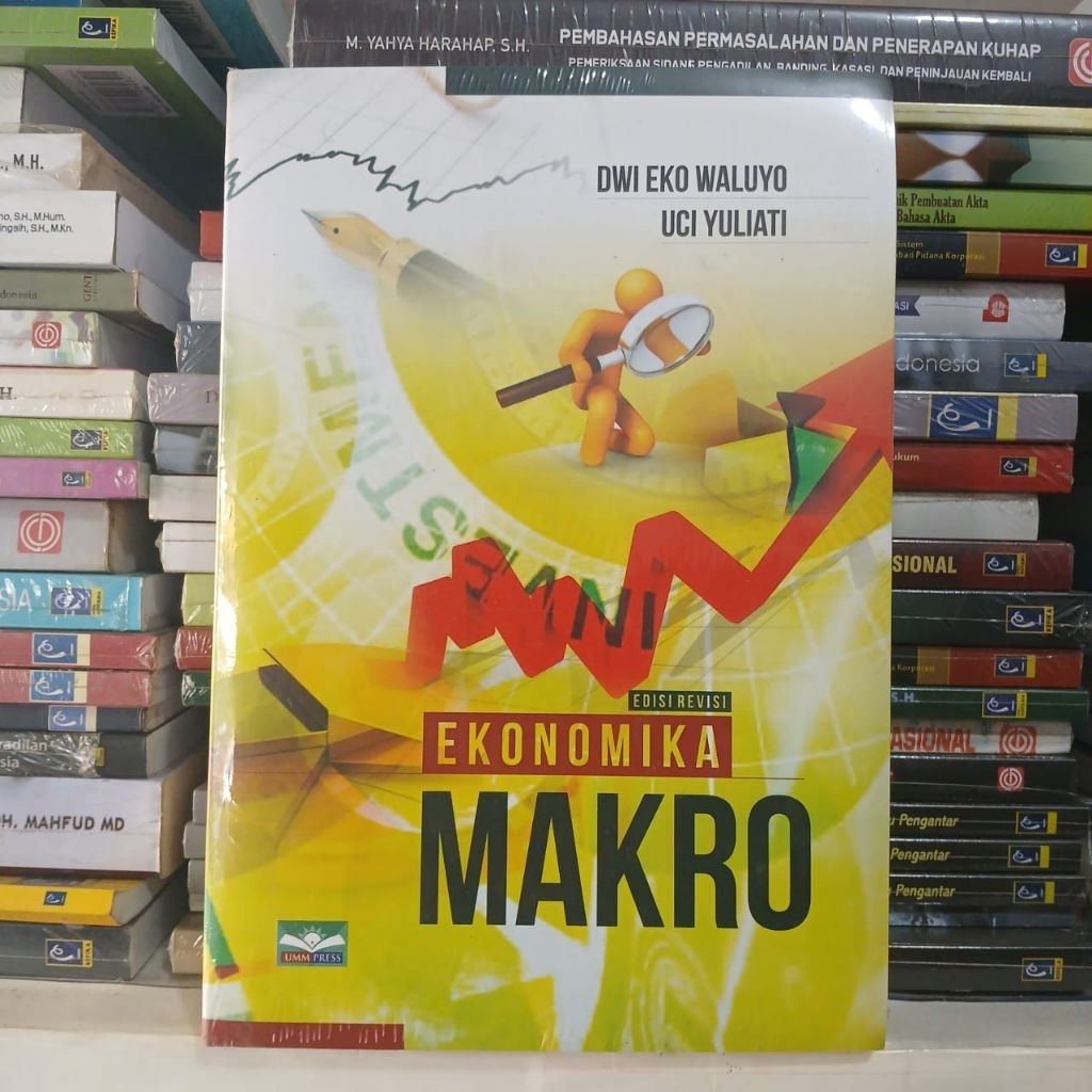 buku ekonomika makro