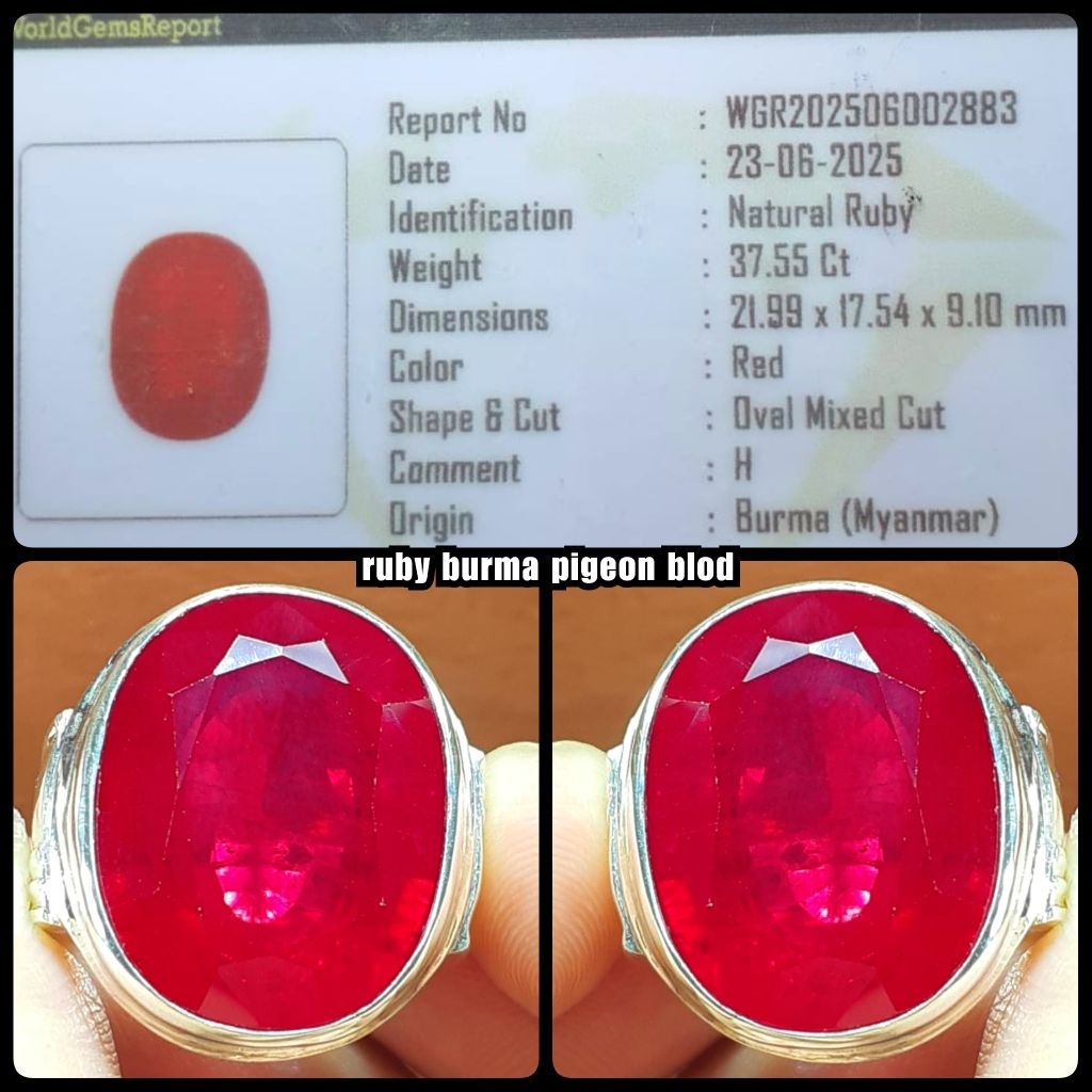 Natural permata ruby pigeon blod jumbo asli burma + ring silver