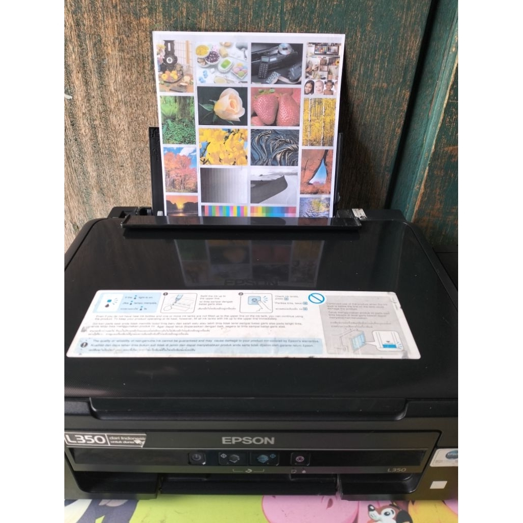 printer Epson L350