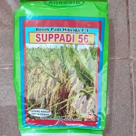 BENIH padi hibrida suppadi 56 ORIGINAL