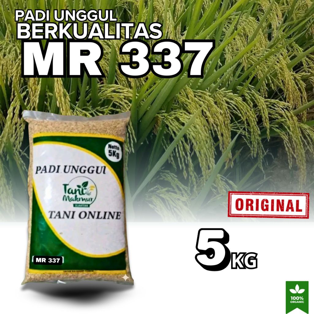 BENIH PADI MR 337 KEMASAN 5KG