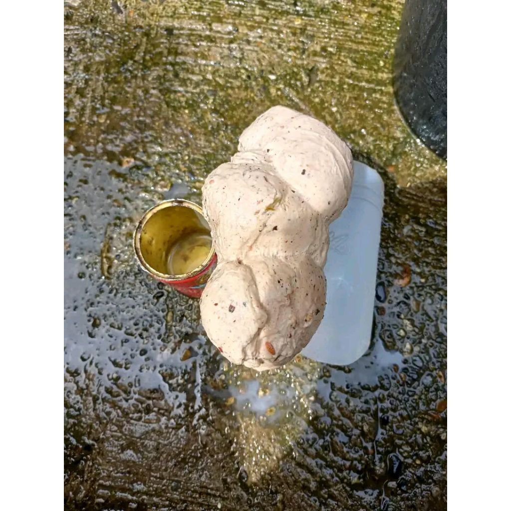 Lem pulut burung super lengket